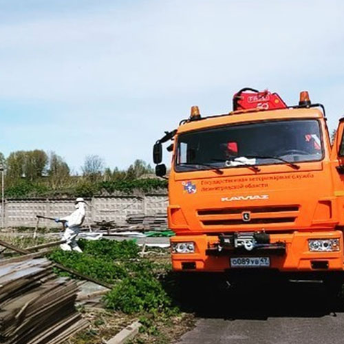 Заказать уничтожение борщевика Волхов